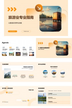 旅游业专业指南